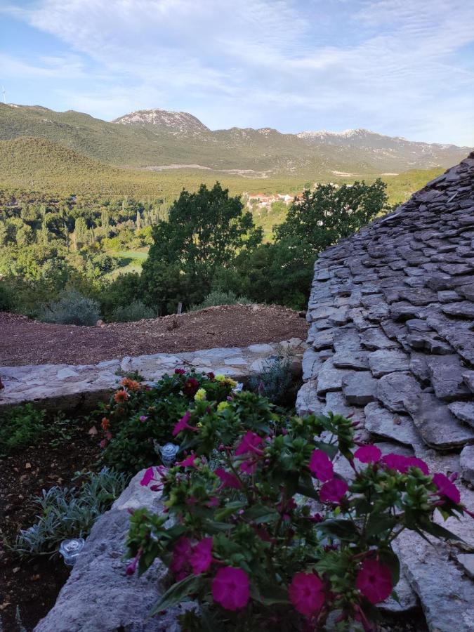 - Boanerges Heritage Blato na Cetini
